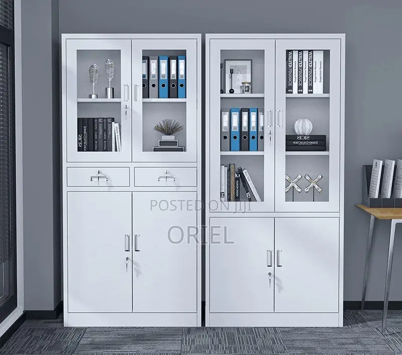 Office Steel Cabinet : Modern 2-Door Filing Office Cabinet