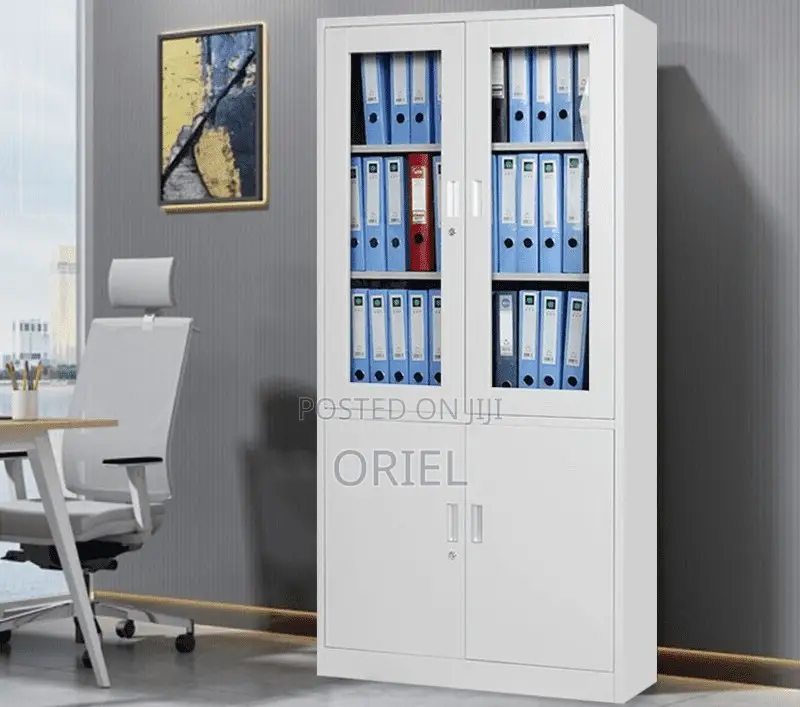 Office Steel Cabinet : Modern 2-Door Filing Office Cabinet