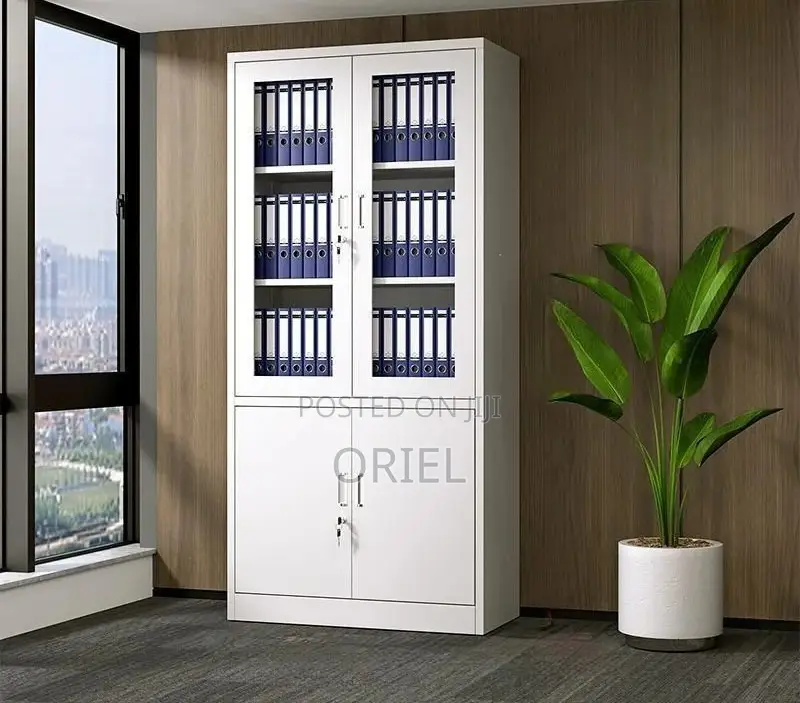 Office Steel Cabinet : Modern 2-Door Filing Office Cabinet