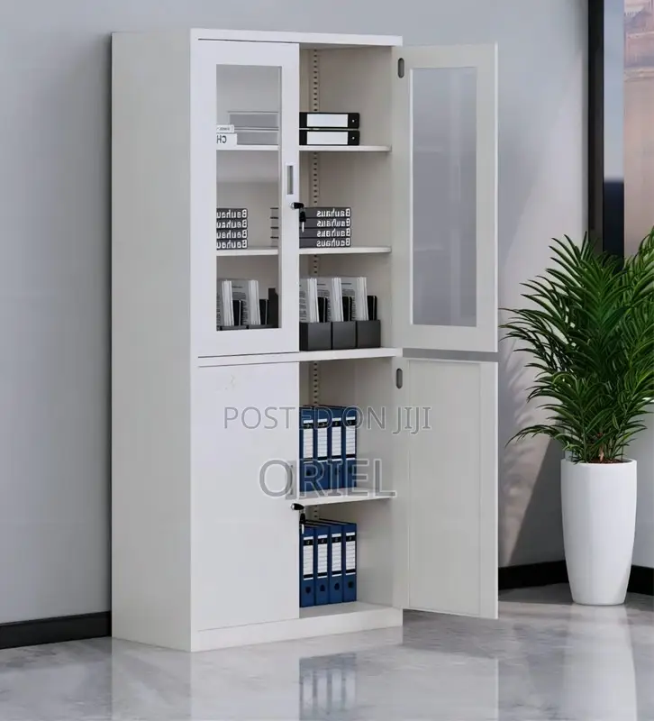 Office Steel Cabinet : Modern 2-Door Filing Office Cabinet