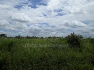 Plot for Sale