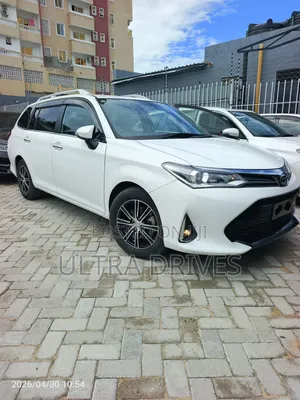 Toyota Corolla Fielder 2019 White