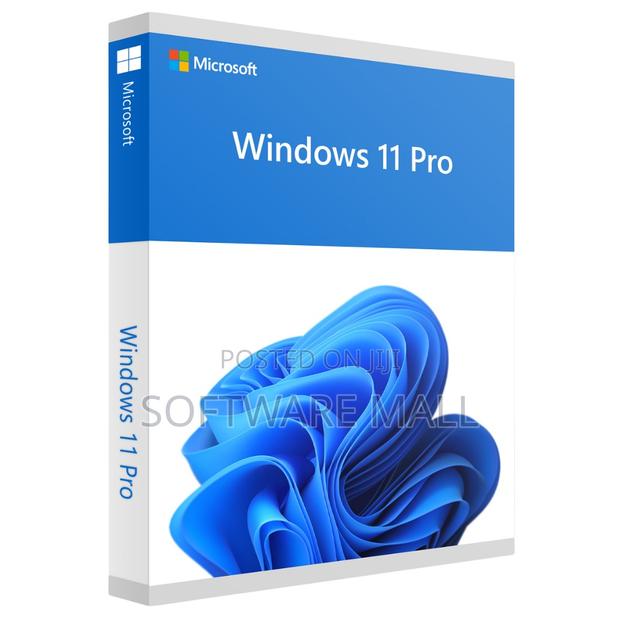 Windows 11 Pro 100 User