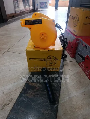 1500 Watts Affordable Dust Blower/1500 Watts Electric Blower