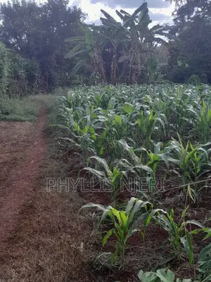 40x80 Plot for Sale in Kenol
