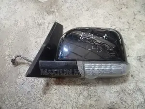 Mitsubishi Delica D5 Sidemirror With Camera 12000