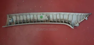 Premio 260 Driver Pillar Trim