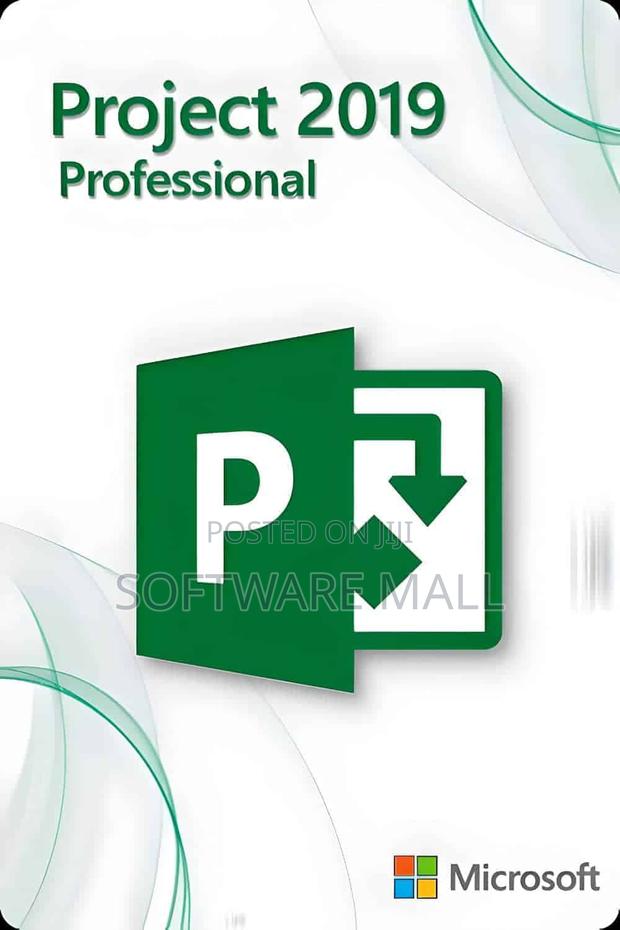 Project 2019 Professional 1 User (Bind)