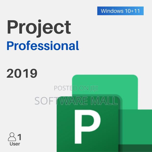 Project 2019 Professional 1 User