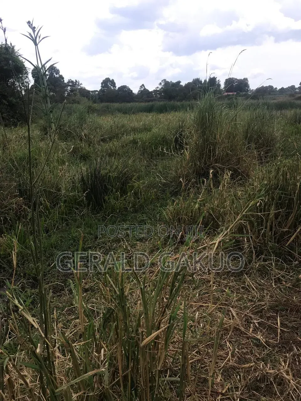 Kamuingi Center Londiani