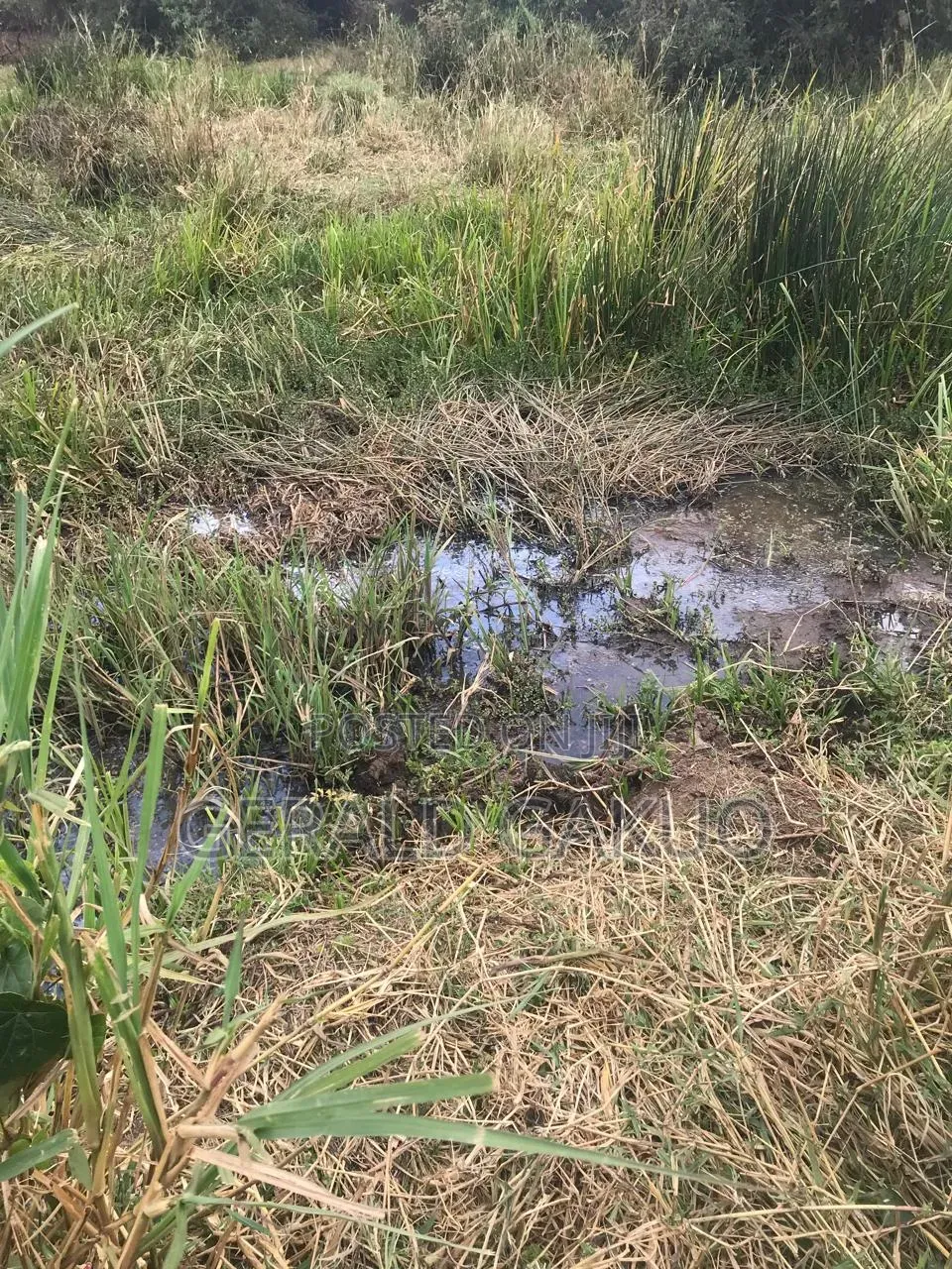 Kamuingi Center Londiani