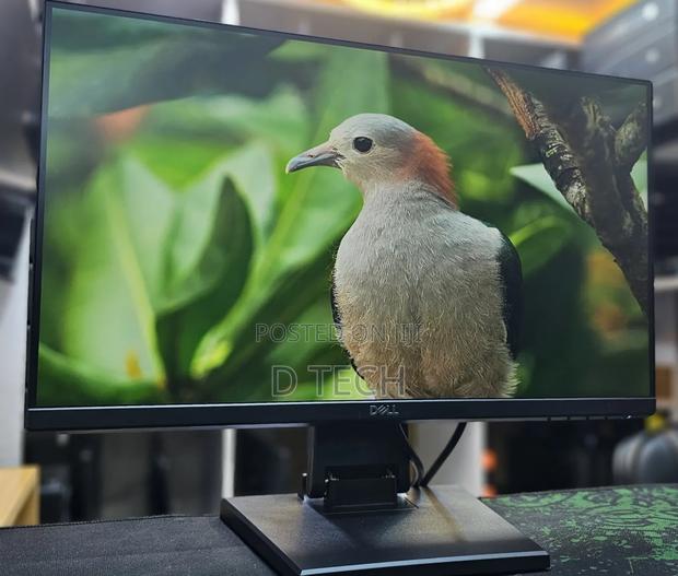 Dell P2319h 23 Inch Monitors
Frameless
60 Hz
Hdmi, Display Vga