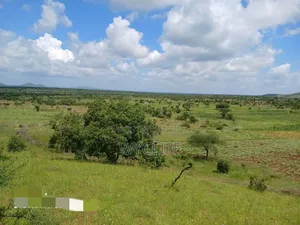 200 Acres for Sale in Makindu, Makueni