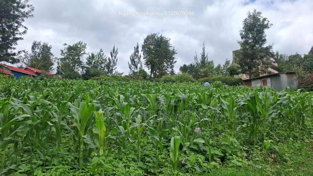 One-of-a-Kind Commercial Plot in Ngong Town - thumbnail 2
