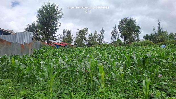 One-of-a-Kind Commercial Plot in Ngong Town - thumbnail 3