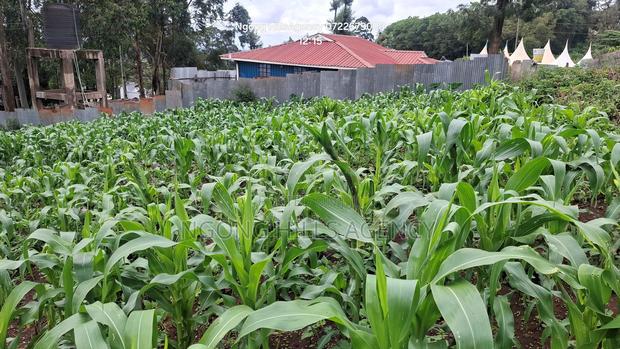 One-of-a-Kind Commercial Plot in Ngong Town - thumbnail 4