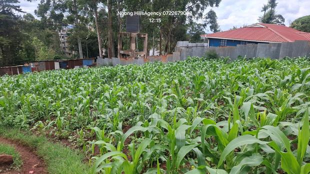 One-of-a-Kind Commercial Plot in Ngong Town - thumbnail 6
