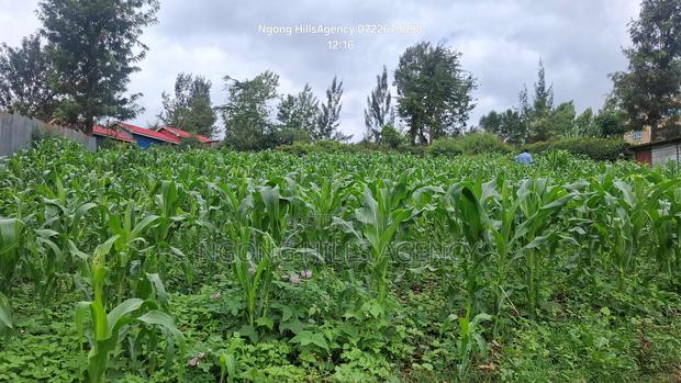 One-of-a-Kind Commercial Plot in Ngong Town - thumbnail 7