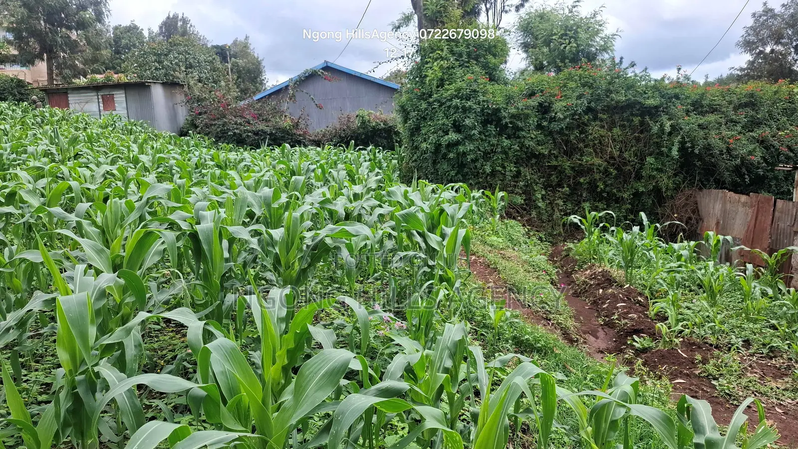 One-of-a-Kind Commercial Plot in Ngong Town