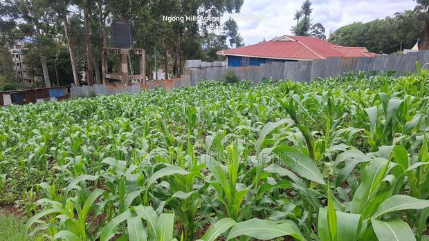One-of-a-Kind Commercial Plot in Ngong Town - thumbnail 9