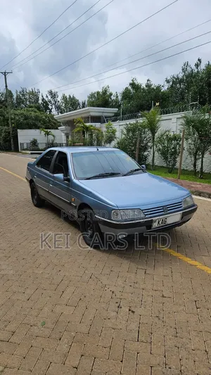 Peugeot 405 1996 Blue