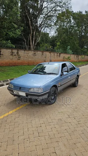 Peugeot 405 1996 Blue
