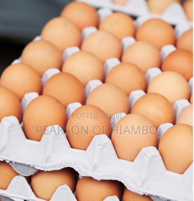 Eggs/Mayai Tray at 440 One at 15bob