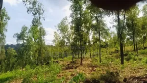100 Acres Prime Agricultural Land for Sale in Kiagu, Meru – Stream,