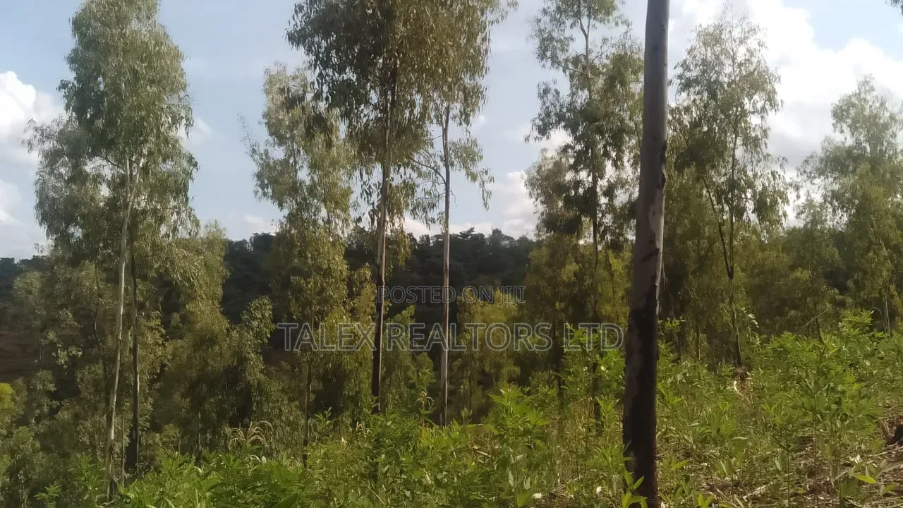 100 Acres Prime Agricultural Land for Sale in Kiagu, Meru – Stream,