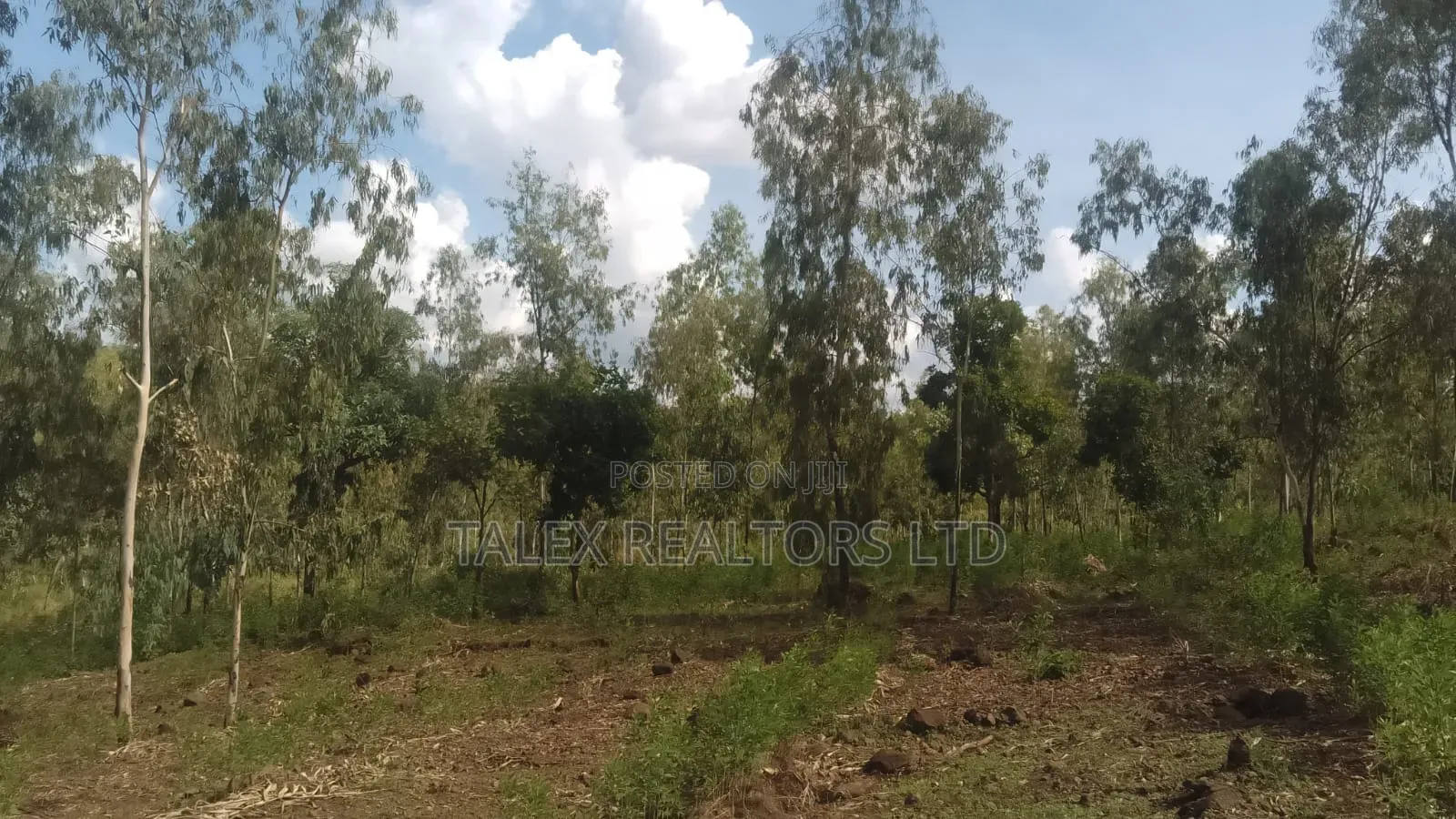 100 Acres Prime Agricultural Land for Sale in Kiagu, Meru – Stream,