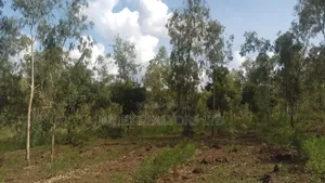 100 Acres Prime Agricultural Land for Sale in Kiagu, Meru – Stream,