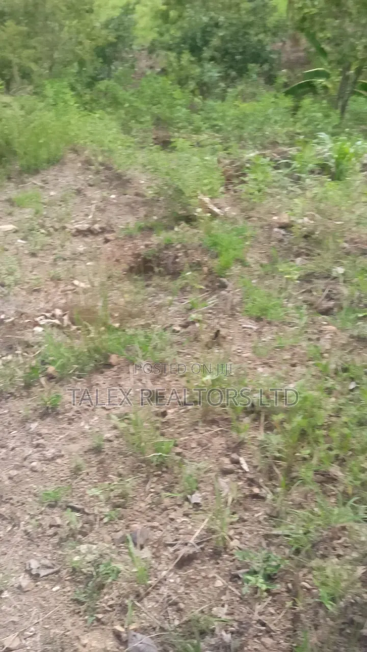 100 Acres Prime Agricultural Land for Sale in Kiagu, Meru – Stream,