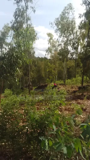 100 Acres Prime Agricultural Land for Sale in Kiagu, Meru – Stream,