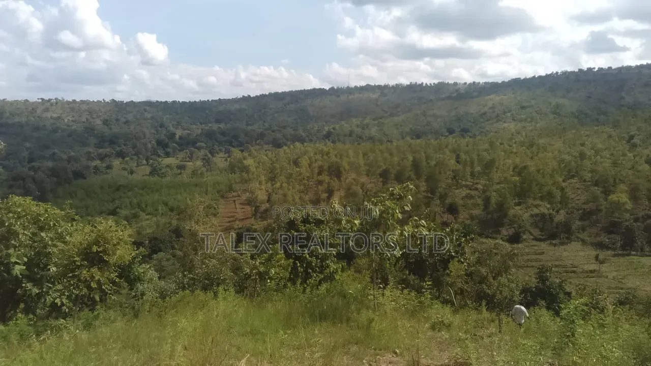 100 Acres Prime Agricultural Land for Sale in Kiagu, Meru – Stream,