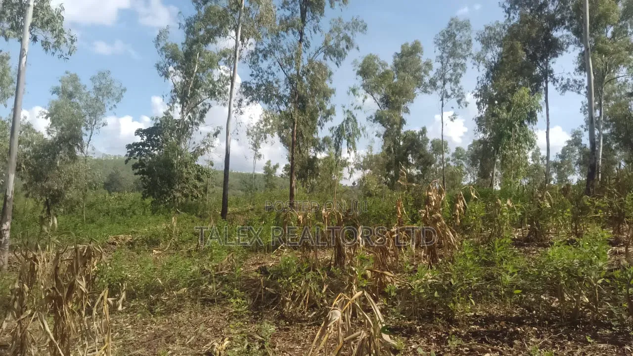 100 Acres Prime Agricultural Land for Sale in Kiagu, Meru – Stream,