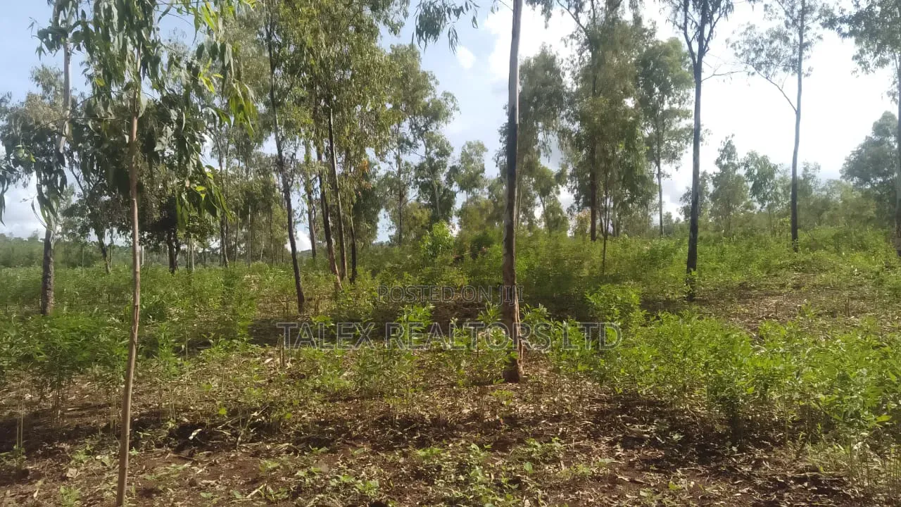 100 Acres Prime Agricultural Land for Sale in Kiagu, Meru – Stream,