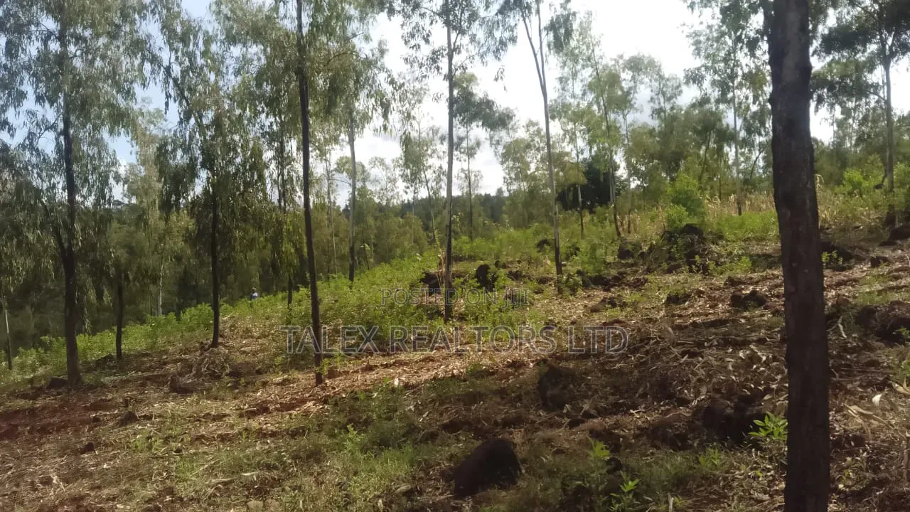 100 Acres Prime Agricultural Land for Sale in Kiagu, Meru – Stream,