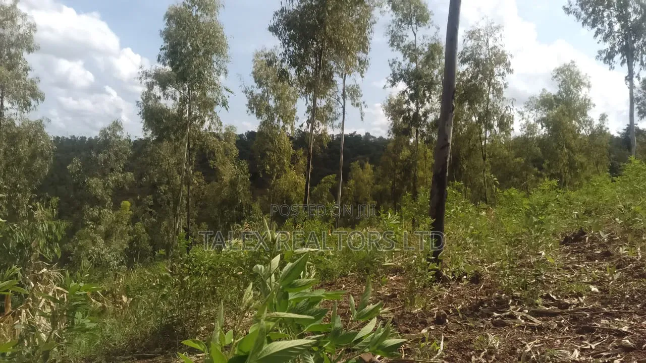 100 Acres Prime Agricultural Land for Sale in Kiagu, Meru – Stream,