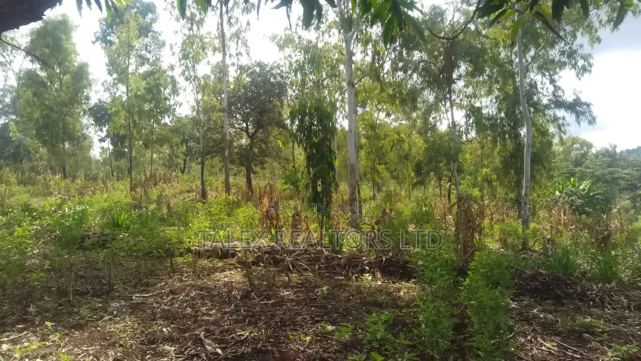 100 Acres Prime Agricultural Land for Sale in Kiagu, Meru – Stream,