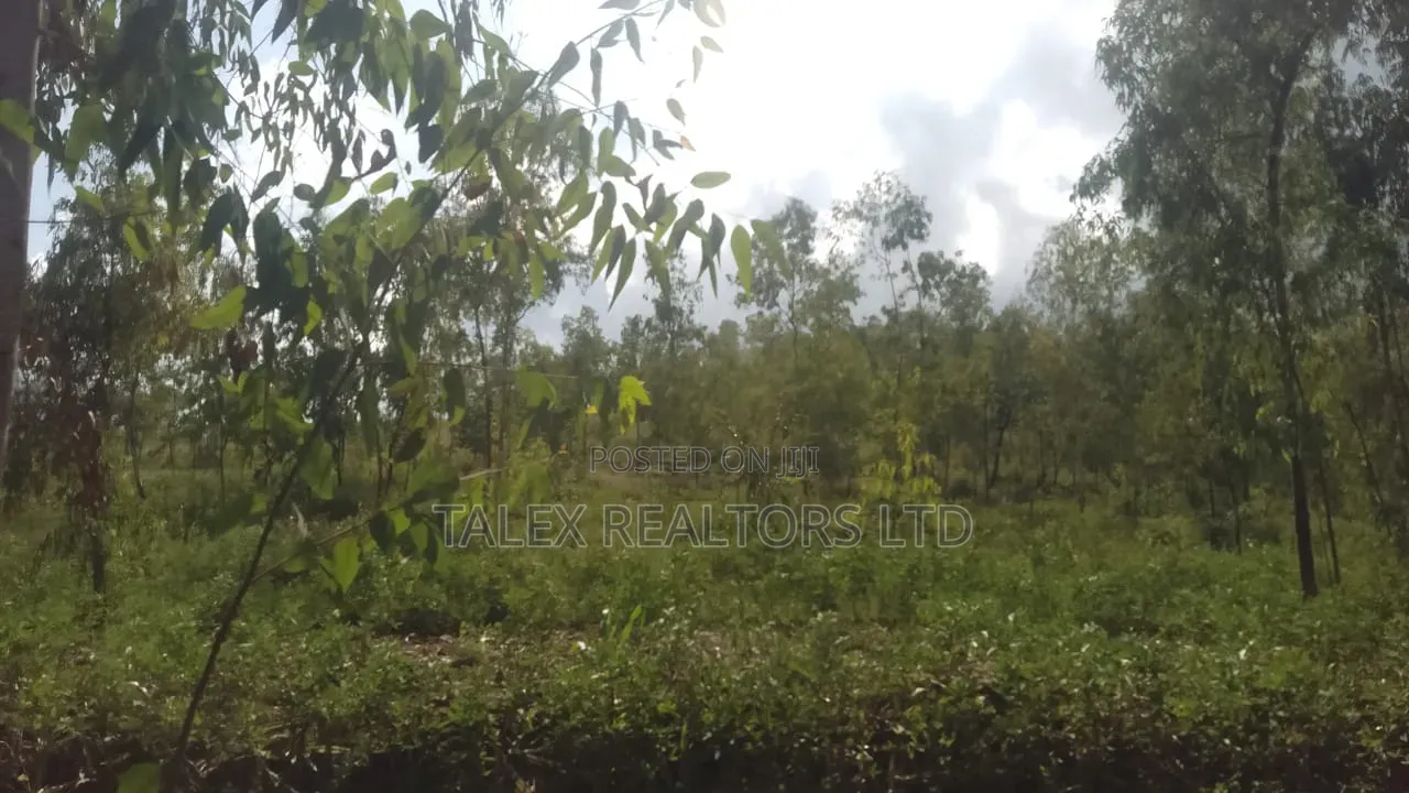 100 Acres Prime Agricultural Land for Sale in Kiagu, Meru – Stream,