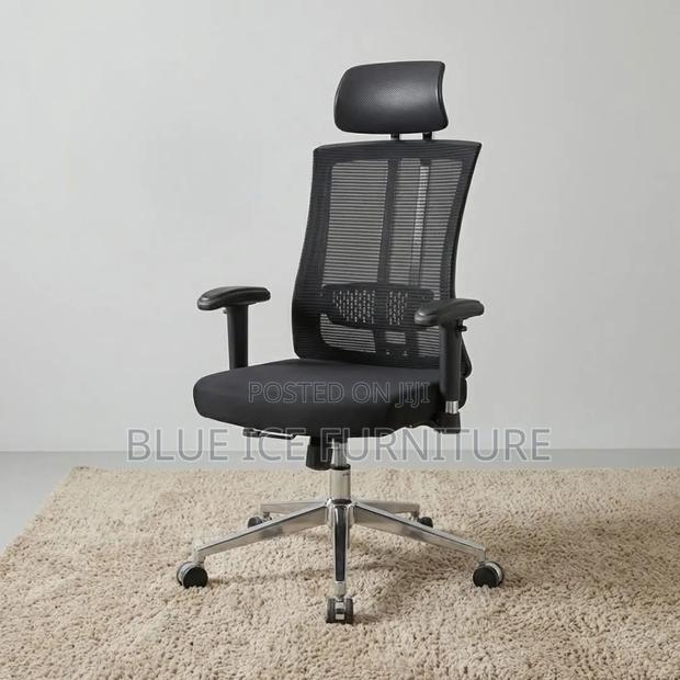 Executive Office Orthopaedic Chair