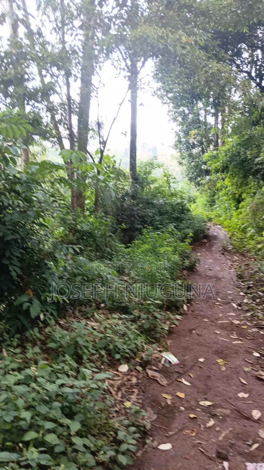 Cianda Kawaida Plot