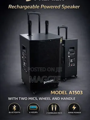 Premier Rechargeable Powered Speaker Model A1503