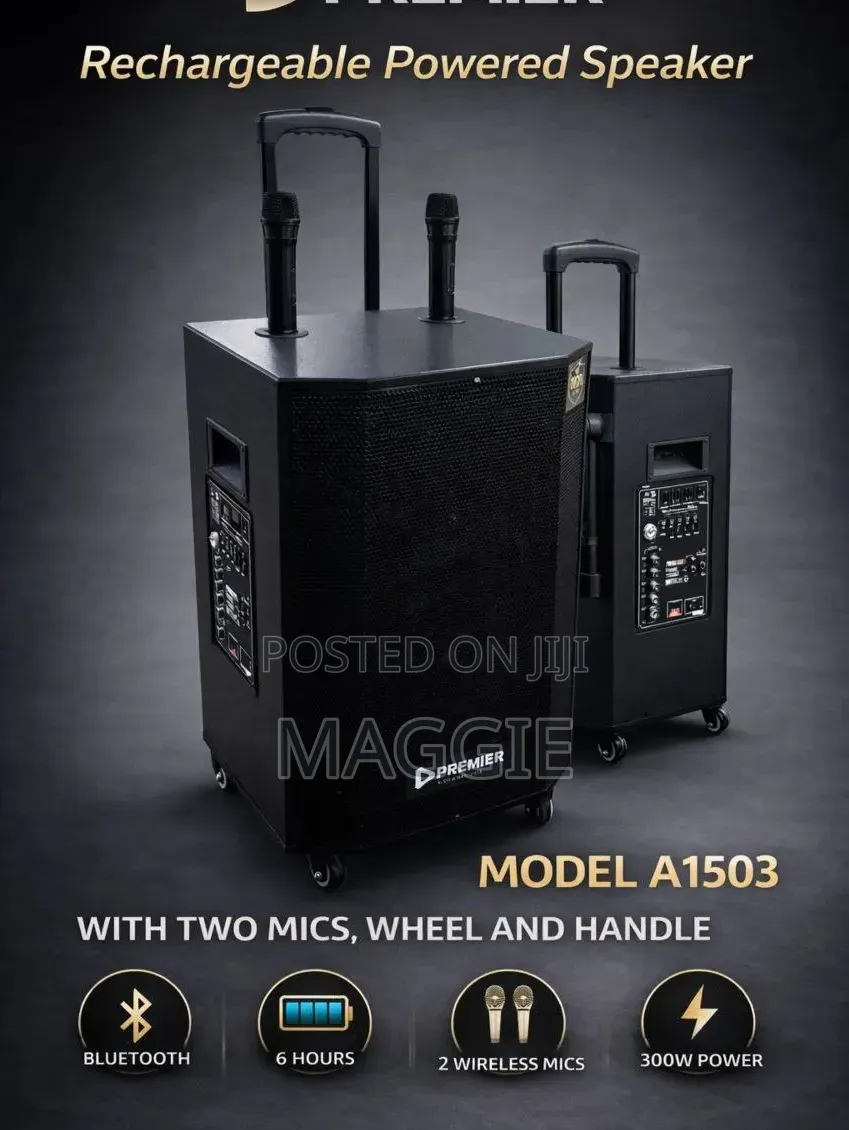 Premier Rechargeable Powered Speaker Model A1503