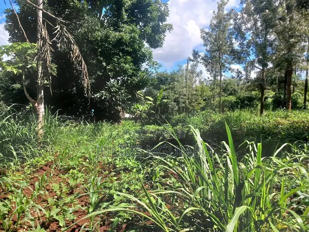 Prime Agricultural 2 Acre Land Distress Sale 5m