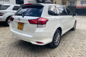 Toyota Corolla Fielder 2017 Pearl