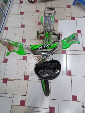 Kids Bicycle Kids Bicycle Size 16