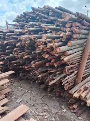 Mkulima Timber Supply