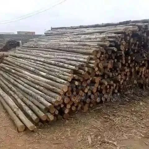 Mkulima Timber Supply