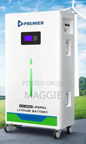 Premier Lithium Battery
